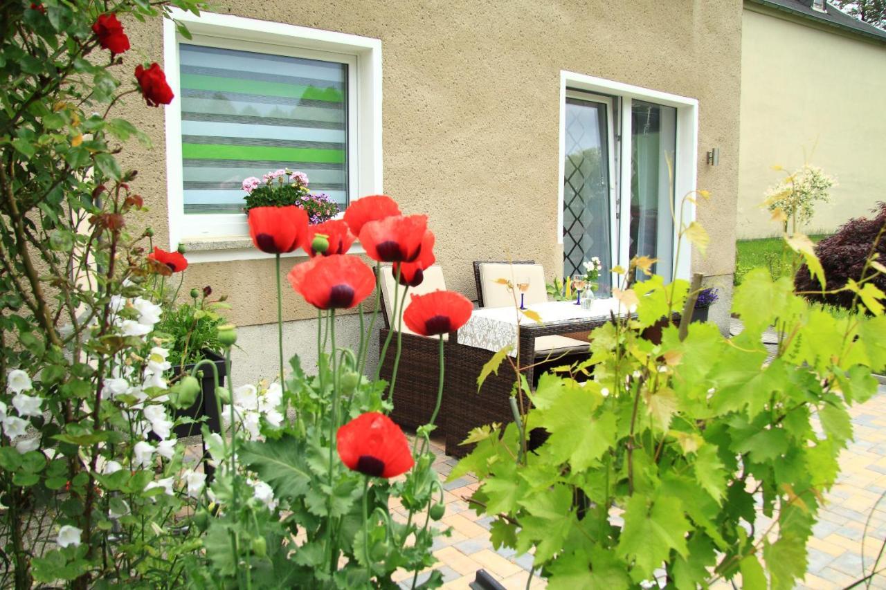 Ferienwohnung Haus Felix Bad Elster Zewnętrze zdjęcie